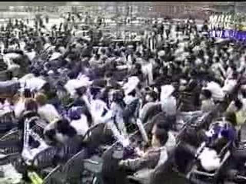 Boxer's Perfect SCV Rush