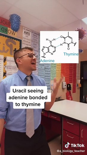 Understanding Uracil in DNA: Adenine and Uracil Bonding Explained