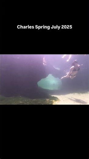 The difference of Charles Spring in Florida after eight months is striking.