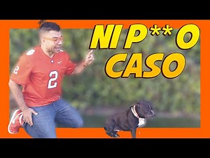 ⚠️ My dog ​​doesn't listen to me 😩 | Dog training 🐶