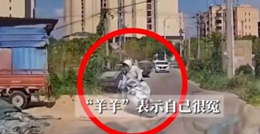 无接触交通事故案例：女子单手骑电动车摔倒，汽车司机被定为次责_腾讯新闻