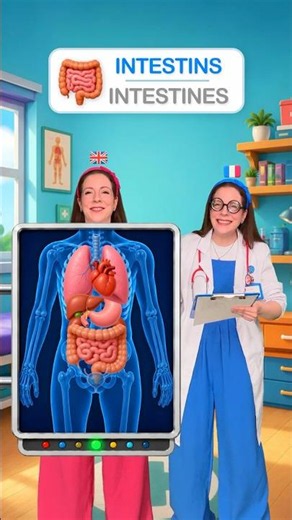 🇫🇷🇬🇧 Body Organs in French and English #learning #kids #beginner #easy #education