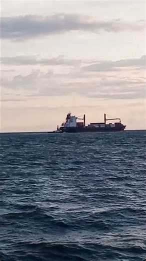 How A Container Ship Gets Into Port (Guided Arrival)