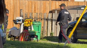 PARAMEDICS RESPOND TO CHILD BEING ATTACKED BY A DOG Peterborough paramedics have rushed a preschool-aged child to Peterborough Regional Health Centre after reportedly being attacked by a dog in the area of Roger and Hazlitt Streets. Limited details are available, but the dispatcher reported that the child sustained serious bleeding from bites to the head. Neighbours are unsure if the dog resides at the location, or not but they described the dog as large based on the sounds of its barking and sc