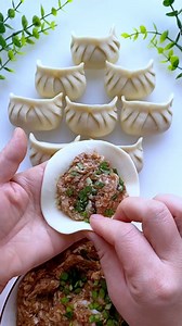 Pack medium size dumpling! 536 | Maco Cake