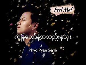 ကျွန်တော်နဲ့အသည်းနှလုံး...Phyo Pyae Sone