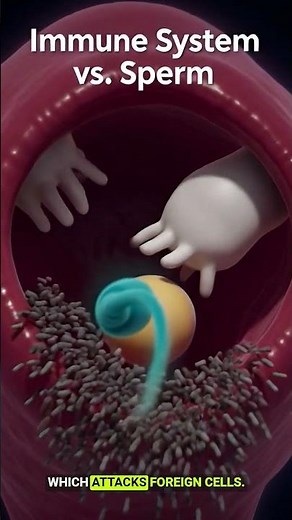 Why Millions of Sperm Die – The Great Sperm Race Explained