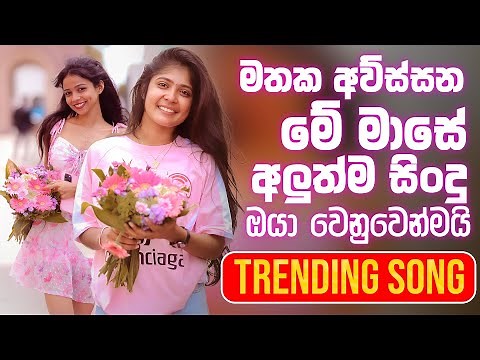 NEW 2025 Best Sinhala Songs Collection | Manoparakata Sindu | Sinhala Songs | Sinhala Sindu Vol.27