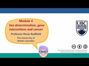 4G - Gene interactions in biochemical pathways - I