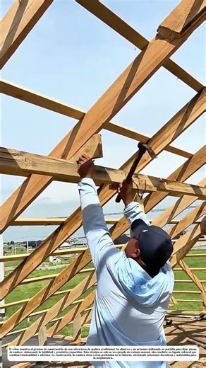 Construir con madera: Cómo la tradición se convierte en estructura sólida