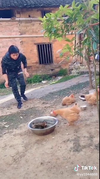 What I saw was a beautiful woman, how did she become a mermaid, what did you see?