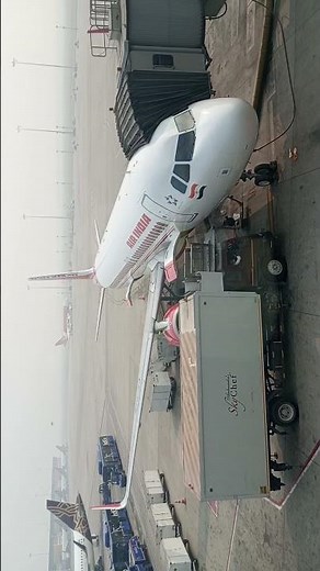 Fly bird ✈️ with machine fly high