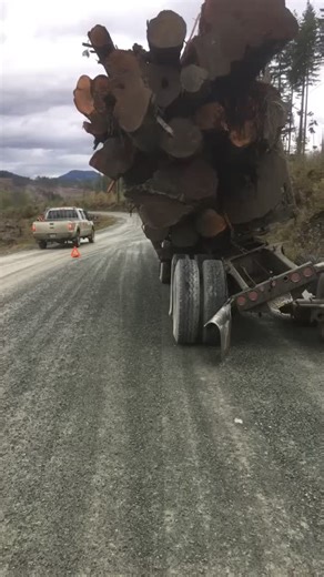 Left Lane Log Train on TikTok