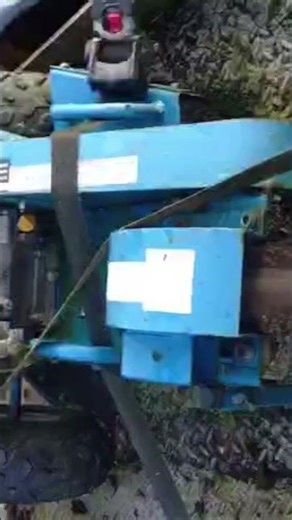 stump grinder in action