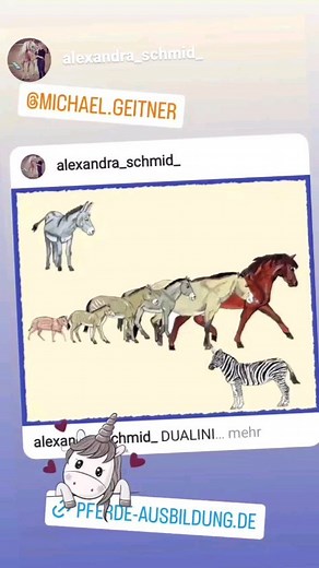 Michael Geitner on Reels