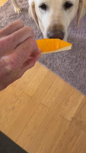 2.3K views · 68 reactions | Cooking with Eric segment. Let’s experiment. Today I was very busy again with food prep and cooking. #cooking #gardening #food #organic #garden | Eric Dodge | Facebook