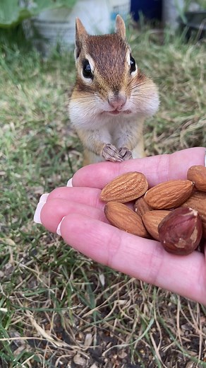 Go on Charlie #fypシ #charlie #wait #go #cute #funny #patient