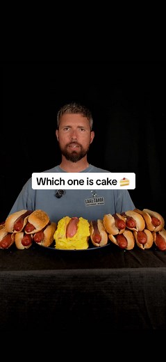 Which One Is Cake? Hotdog or Cake Challenge