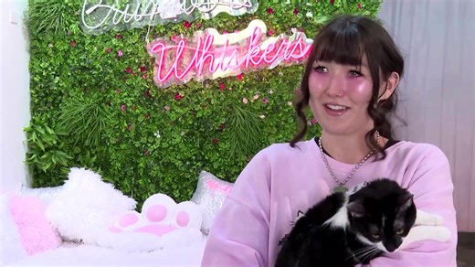 10K views · 102 reactions | A cat cafe in Los Angeles is offering free 15-minute cat cuddling sessions to help people affected by the city's ongoing wildfires relieve their stress. | Reuters | Facebook