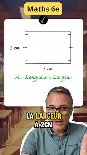 Area of ​​a rectangle - 6th grade