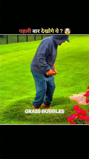 Grass Bubbles ?! 🤯 #facts #shortvideos