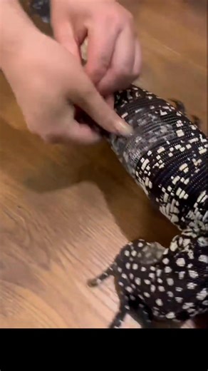 #LizardPeelOff #LizardSkinCare #PeelOffSatisfaction #PeelingTherapy #SkinShed #SatisfyingPeel #PeelAddict #OddlySatisfying #SkinPeelVideo #PeelOffMagic #ShedSkinASMR #LizardPeelASMR #PeelingMoments #RelaxingPeel #SkinShedSatisfying #OddlyRelaxing #PeelOffVibes #PeelShots #PeelOffTrend #ViralPeeling #PeelObsessed #LizardSkinPeel #PeelOffProcess #PeelOffLove #PeelAddiction #LizardShedding #SheddingSeason #PeelTok #ASMRPeeling #PeelReels #PeelTherapy #PeelSensation #PeelPerfection #SatisfyingShed #