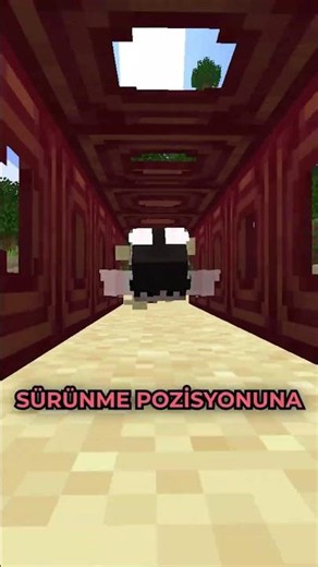 HOW TO CRAWL FASTER IN MINECRAFT?! ⛏💎