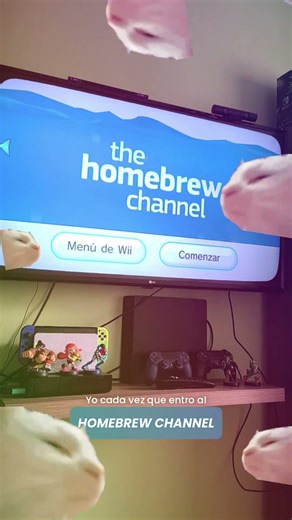 Yo cada vez que abro el HomeBrew Channel #wii #homebrew #hack