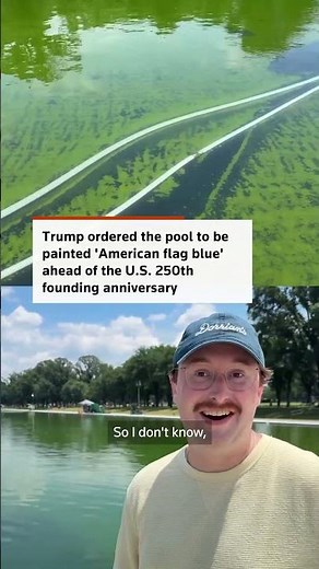 Algae turns Reflecting Pool green