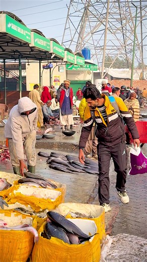 Hilarious Fish Robbery Prank