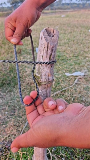 Adjustable Slip Knot on Post 🔥 | Quick Release Rope Hitch #Shorts