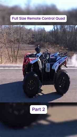 Full Size Remote Control Quad (2).