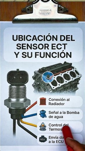 ECT sensor location and function ✅👩‍🔧 #automobile #mechanic #tools #workshop