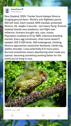 A Lifetime on the Ground 🌍#FirstTimeFlyer #BucketList #LifeExperience