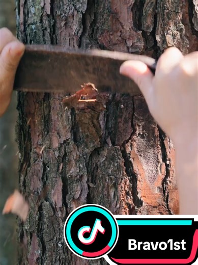 Exploring the Art of Chinese Calligraphy Brushes