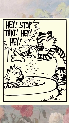 Calvin And Hobbes🤣🐯👦🏻📚 #Calvin #calvinandhobbes | Daily Comics World