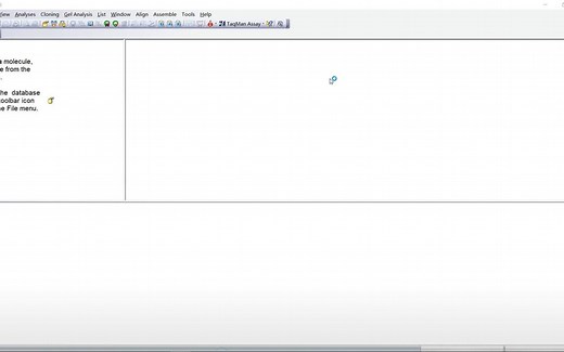 Vector NTI Advance 11.5.3 序列综合分析 安装包下载安装教程,教你零基础掌握