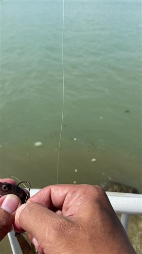 Master the Bait and Wait Technique for Successful Fishing