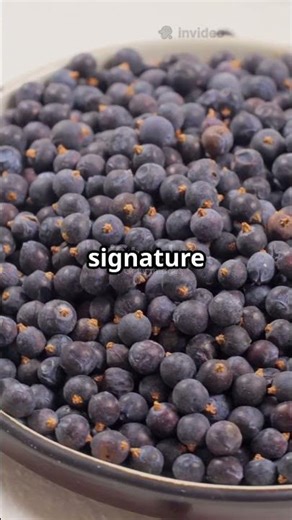 Gin Making 101: From Botanicals to Bottle! #lifetips101