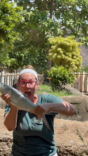 4.6K views · 161 reactions | Wow, what a catch!  Keeper Amelia is...