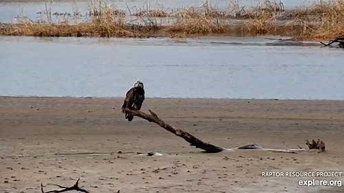 Lake Onalaska, Mississippi River