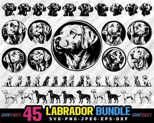Lot de vecteurs de chien labrador (svg, png, jpg, eps, dxf) - Etsy France