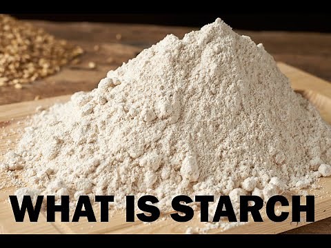 What is Starch | starch kya hota hai | starch powder | BIOLOGY WALLAH NILESH ANANDWANI