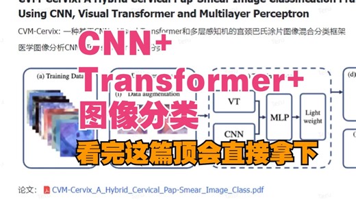 CNN Transformer 图像分类，看完这篇顶会直接拿下！
