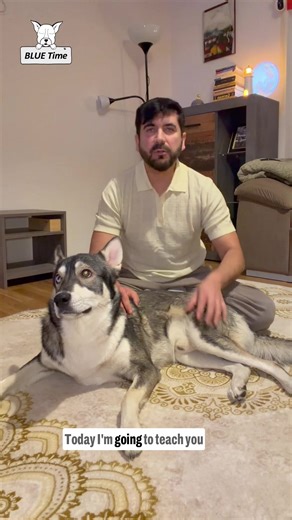 How to Make Blue Bread: A Fun Cooking Guide