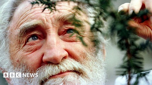 Naturalist and presenter David Bellamy dies at 86