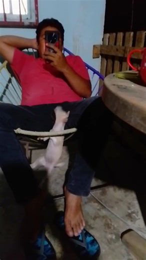 3.7K views · 36 reactions | Sus acrobacias de bb | Ruby Borges | Facebook