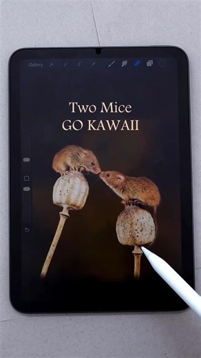 ECKYO | Cute Drawing on Instagram: "Cute animal drawing in kawaii art style. #kawaiidrawing #howtodrawcute #learntodraw #chibiart #drawingtutorials"