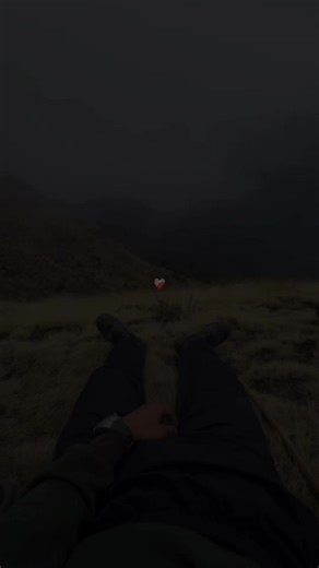 ❤‍🩹🥺Tune kabhi mujhse pyar kiya!! #fyp #naturevibes🌿 #lines💔 #viral #foryoupage❤️❤️