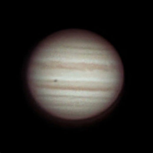 Jupiter Timelapse 2026-02-08 #astronomy #telescope #planet #astro #jupiter #zwo #svbony